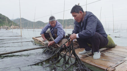 Veja Algas. Episódio 7 da Temporada 1.