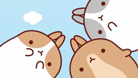 Watch The Campers. Episode 11 of Season 1.