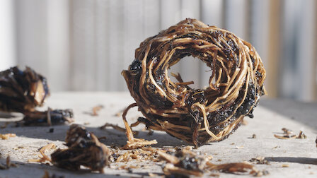 Veja Pickles de vegetais. Episódio 6 da Temporada 2.