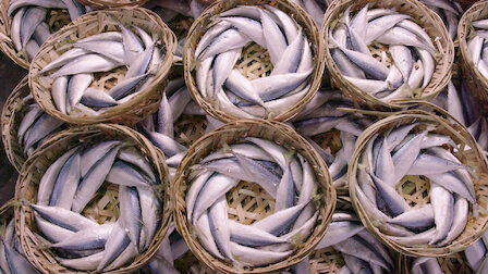 Veja Pratos de peixe. Episódio 15 da Temporada 1.