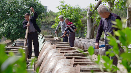 Veja Molho de peixe. Episódio 16 da Temporada 1.