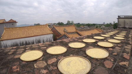 Veja Pasta de soja fermentada. Episódio 5 da Temporada 1.