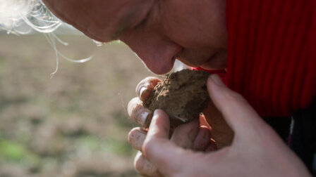 Veja Alain Passard. Episódio 1 da Temporada 1.