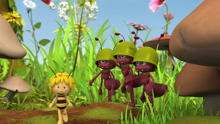 Watch Harmony in the Meadow / Maya Commander in Chief. Episode 25 of Season 1.