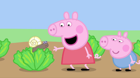 Watch Tiny Creatures / Daddy Pig's Office / Pirate Island / George Catches a Cold. Episode 6 of Season 2.