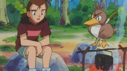 Veja Tão perto está o Farfetch'd. Episódio 46 da Temporada 1.