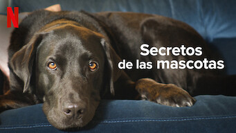 Secretos de las mascotas (2022)