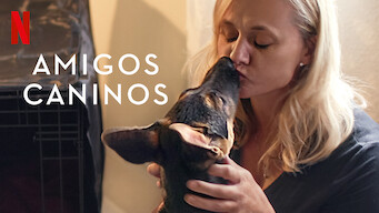 Amigos caninos (2021)