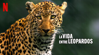 La vida entre leopardos (2024)