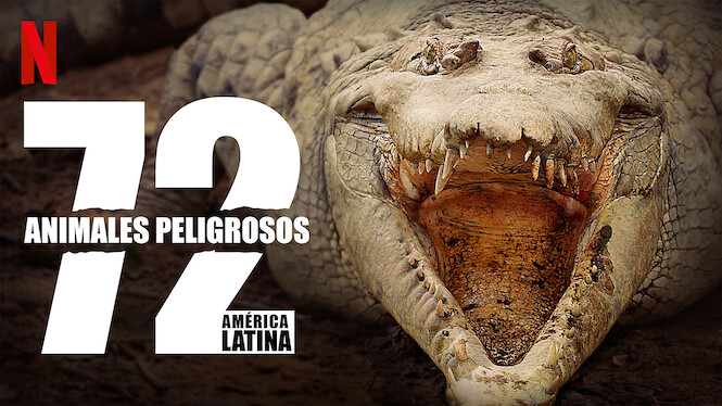 Los 72 Animales Mas Peligrosos De Australia