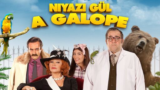 Niyazi Gül a Galope