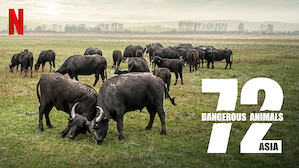 72 Dangerous Animals: Asia