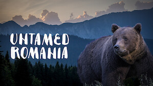 Untamed Romania