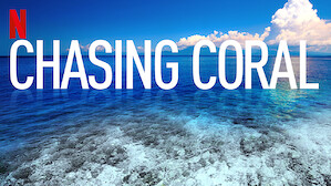 Chasing Coral