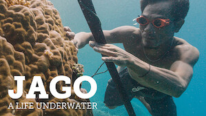 Jago: A Life Underwater