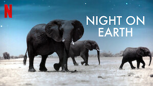 Night on Earth